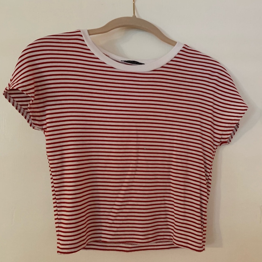 Zara Striped Crop Top